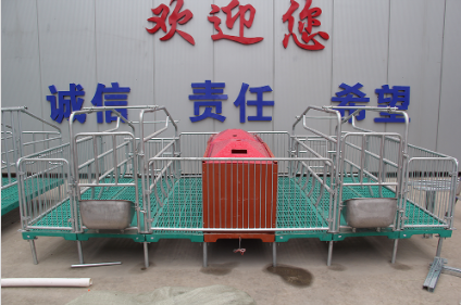 母猪定位栏安装注意事项