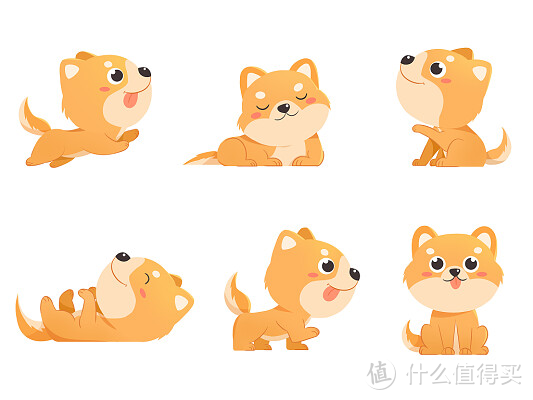 养狗一个月要花多少钱？