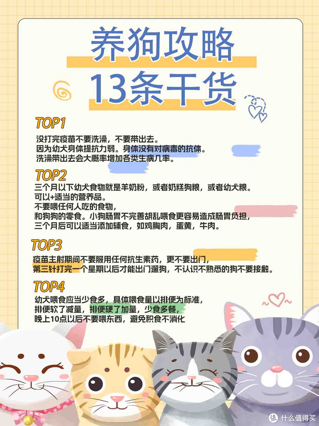 养狗攻略！新手必看